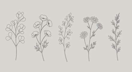 Delicate botanical vector illustrations showcasing various floral elements, perfect for elegant design projects, available as a scalable PNG file for easy integration and versatile use.