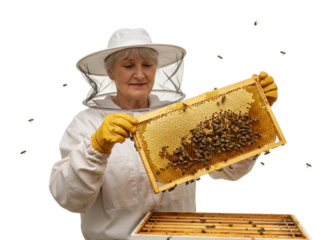 Beekeeping action enthusiastic beekeeper harvesting honeycomb in apiary nature's buzz isolated on transparent background