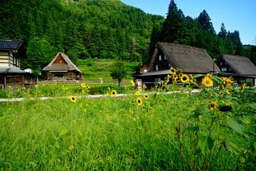 五箇山板倉集落