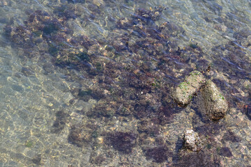 Water-related landscape photos. Perfect as background material.