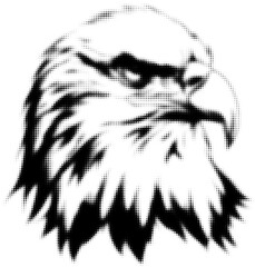 Eagle head in black and white halftone illustration with fierce expression
