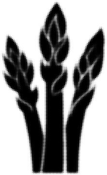 black dotted asparagus on white clip art preview