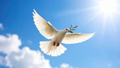 Fototapeta premium A serene white dove gracefully soars across a brilliant blue sky, carrying an olive branch, symbolizing universal peace, hope, and freedom for all.