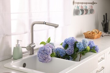 Beautiful blue hortensia flowers in kitchen sink