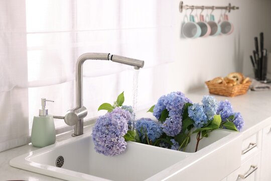 Beautiful blue hortensia flowers in kitchen sink