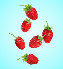Fresh ripe wild strawberries falling against light blue background