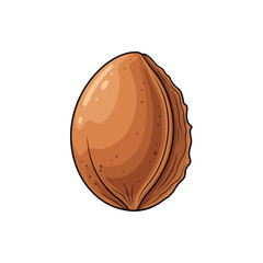 An illustration of a single apricot pit, showing its smooth surface and textured edge against a white background.
