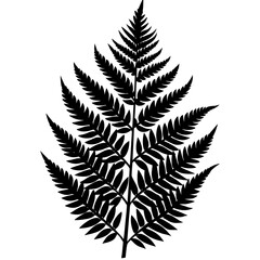 Naklejka premium Black silhouette of a fern leaf on a white background plant nature