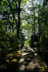 Obraz premium 鎌倉25815 妙本寺1