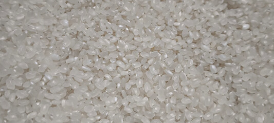 Close up of japanese rice. Japanese rice grains for background. Sushi Ingredients.