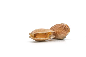 Closed up fresh baby clams. venus shell. shellfish. carpet clams. short necked clams. as raw food from the sea are the seafood ingredients. fresh clams Background.