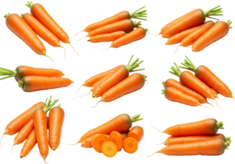 Harvesting fresh carrots organic farm food outdoor setting healthy eating concept isolated on transparent background