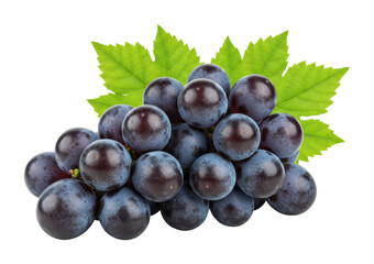 Harvesting fresh grapes vineyard food natural setting organic produce isolated on transparent background