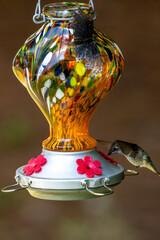 Hummingbird at an orange-colored feeder.