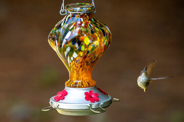Hummingbird in flight near an orange feeder.