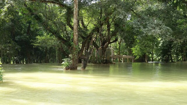 tad sae waterfall in luangprabang, laos, waterfall in the forest