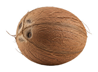 Harvesting fresh coconuts tropical farm food lush greenery natural ingredients isolated on transparent background