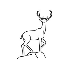 stag on a rock line art illustration