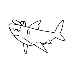 a fun and grumpy shark character vector drawing