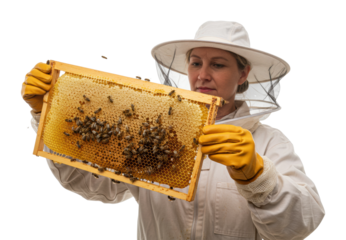 Beekeeping action apiary location honeycomb inspection outdoor environment viewpoint pollination concept isolated on transparent background