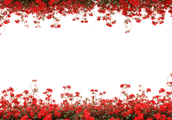 Vibrant flower border frame nature scene decorative tranquil environment aesthetic viewpoint floral concept isolated on transparent background