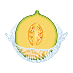 Fresh Green Cantaloupe Cut Open on a Strainer - Vector Illustration