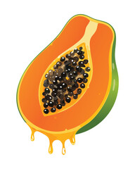 A freshly cut half of a ripe papaya, showing the vibrant orange flesh and glistening black seeds inside - Vector Illustration