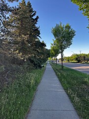 path in the park