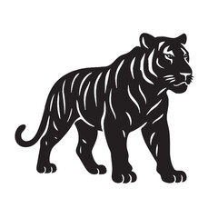 tiger vector illustration