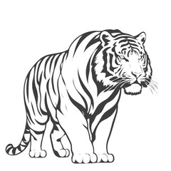 tiger vector illustration