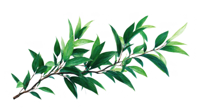 Leafy green branch with a few leaves on it