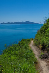 Obraz premium ニュージーランド パエカカリキ・エスカープメント・トラックから見えるカピティ島