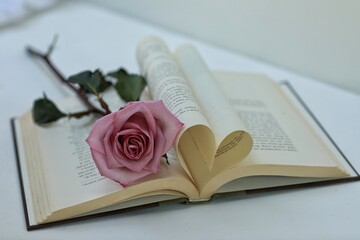 Pink rose flowers on the table, free space, book, heart