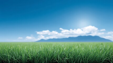 Obraz premium Lush green grass stretches across a serene landscape under a clear blue sky with soft clouds and distant mountains