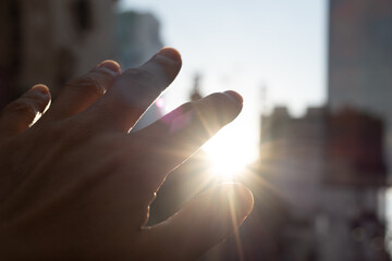 手のひらを太陽に