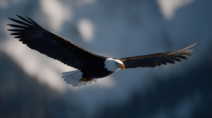 Obraz premium Majestic Bald Eagle in Flight Over Dark Mountainous Landscape