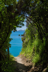 ニュージーランド　パエカカリキ・エスカープメント・トラックから見える風景とタスマン海