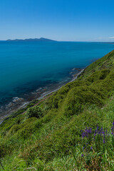 ニュージーランド　パエカカリキ・エスカープメント・トラックから見えるカピティ島