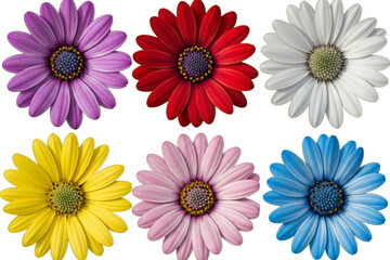 Fototapeta premium A colorful set of blooming floral bouquets with different spring and summer flower designs