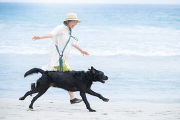 犬と散歩で海辺を走る人　アクティブな飼い主のイメージ