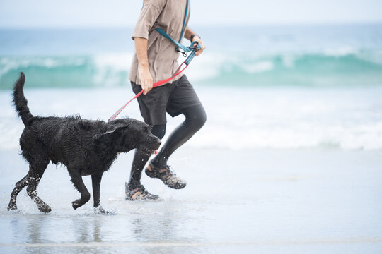 犬と海辺を走る男性 アクティブな飼い主のイメージの顔無し - Powered by Adobe