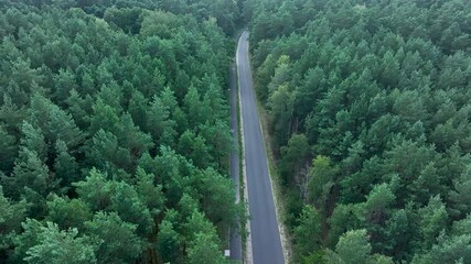 Aerial Bydgoszcz Poland road pine forest. Bydgoszcz a city northern Poland. Thick pine forests with farm agriculture farm land. On the River Brda. Lake, forest and farm rural area and landscape.