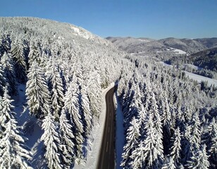 Aerial view of a snow-covered road winding through a dense evergreen forest on a sunny winter day