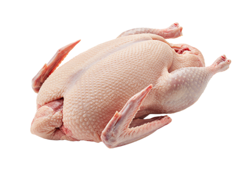 Fresh raw whole duck isolated on transparent background