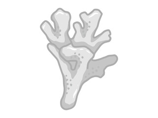 Coral Reefs underwater Background illustration