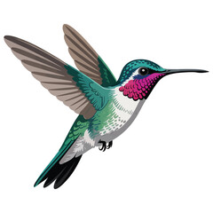 hummingbird in flight