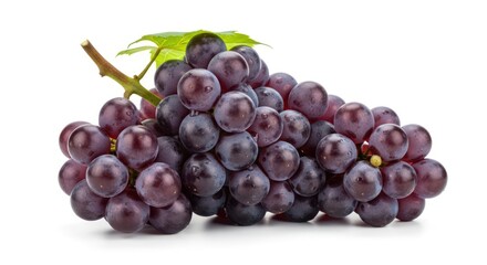 Fresh Bunch of Dark Red Grapes Isolated on White Background