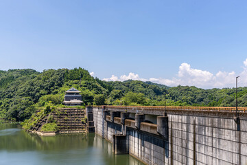 Fototapeta premium 夏の瓜田ダム