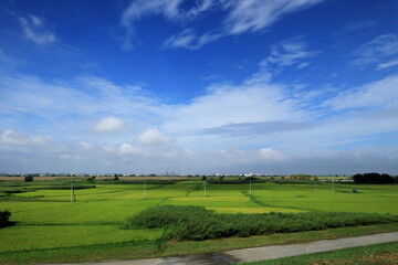 日本　埼玉の風景
