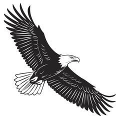 eagle vector illustration